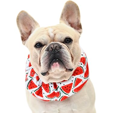 Amazon.co.jp ほしい物ランキング: 犬用ベーシック首輪 で、ほしい物